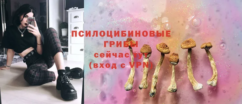 ссылка на мегу ссылки  Кашира  Галлюциногенные грибы Magic Shrooms 