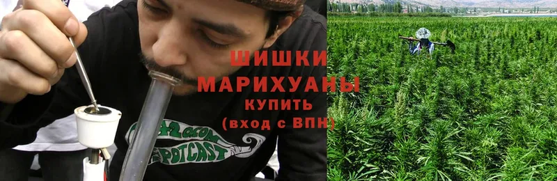 Конопля SATIVA & INDICA  Кашира 